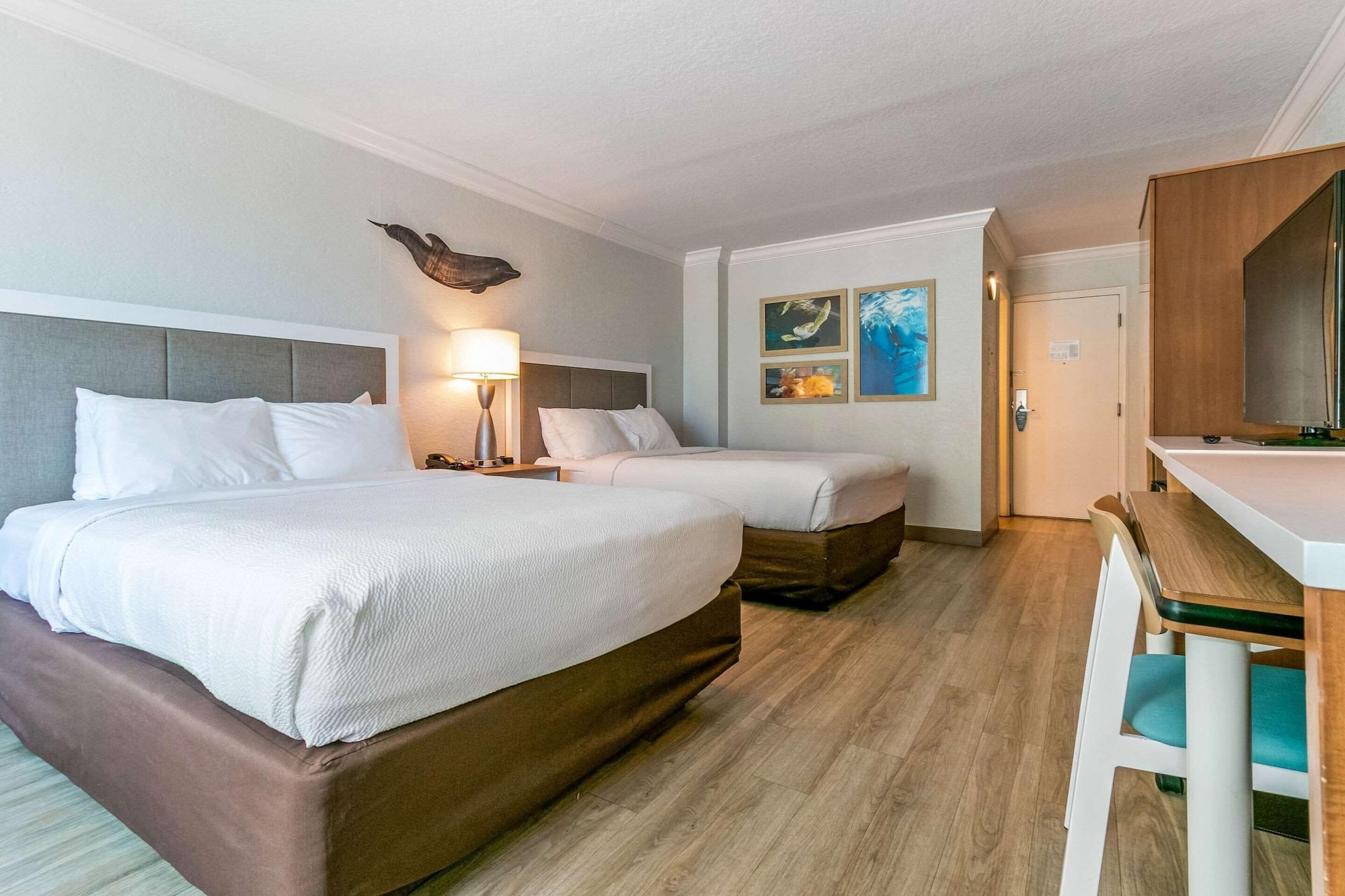 Winter The Dolphin'S Beach Club, Ascend Hotel Collection Clearwater Beach Εξωτερικό φωτογραφία