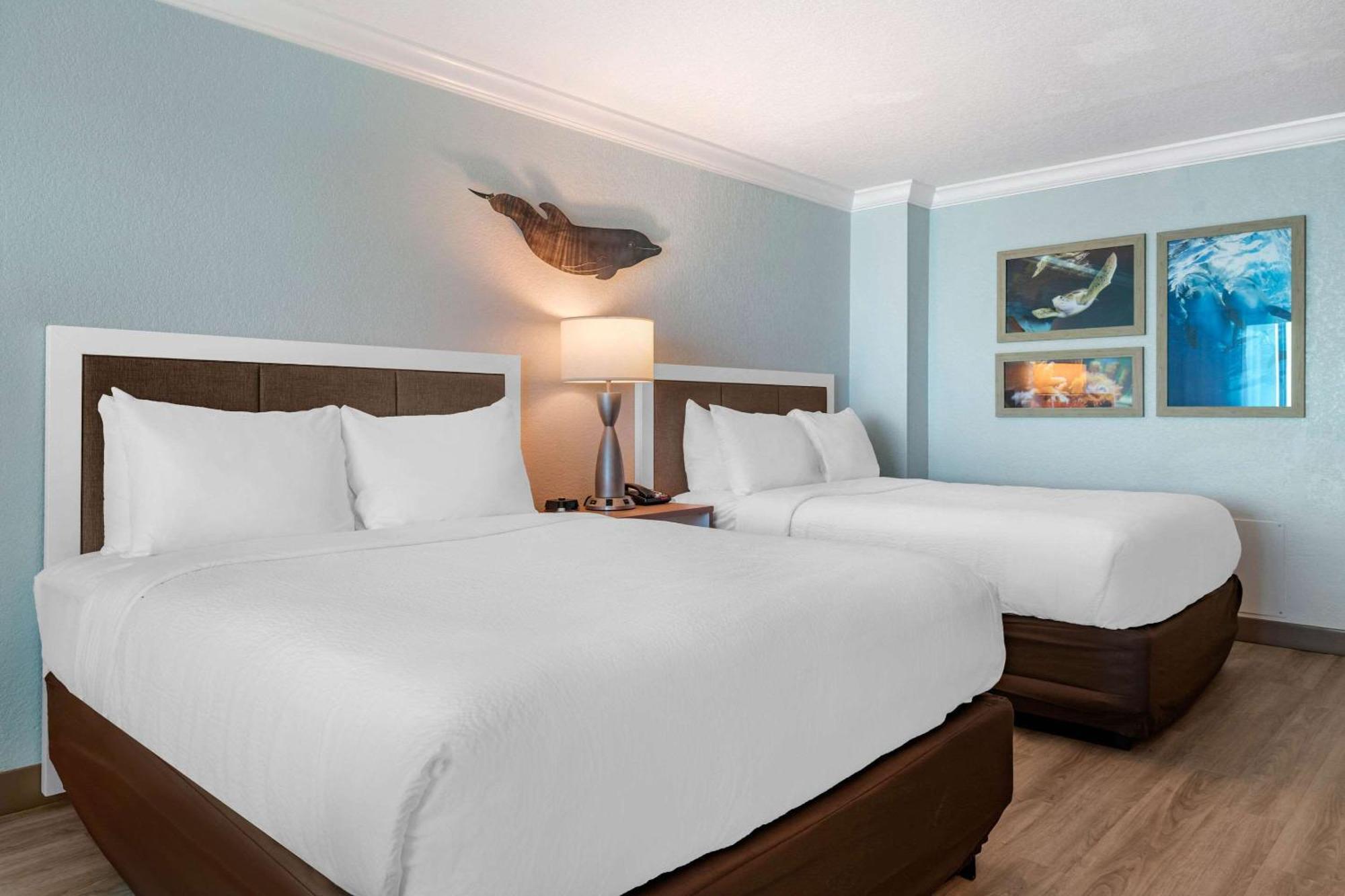 Winter The Dolphin'S Beach Club, Ascend Hotel Collection Clearwater Beach Εξωτερικό φωτογραφία