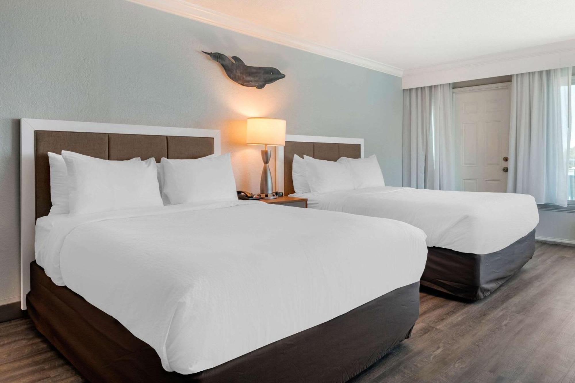 Winter The Dolphin'S Beach Club, Ascend Hotel Collection Clearwater Beach Εξωτερικό φωτογραφία