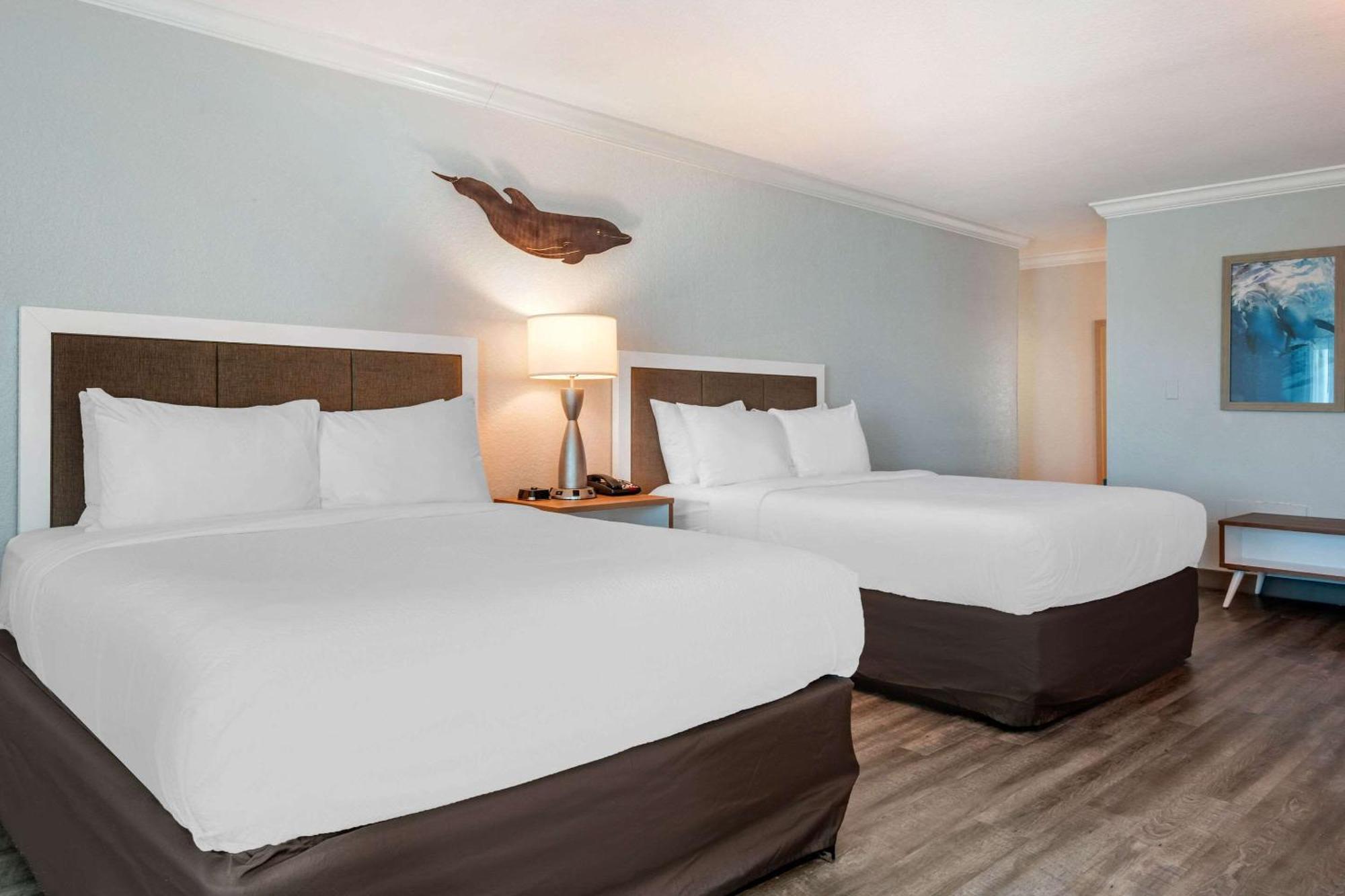 Winter The Dolphin'S Beach Club, Ascend Hotel Collection Clearwater Beach Εξωτερικό φωτογραφία